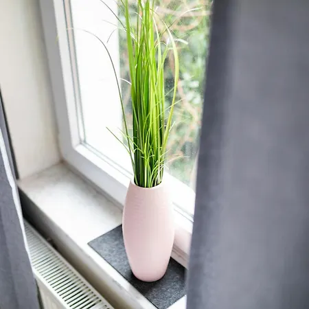 Apartamento Regina Maris, 2 *